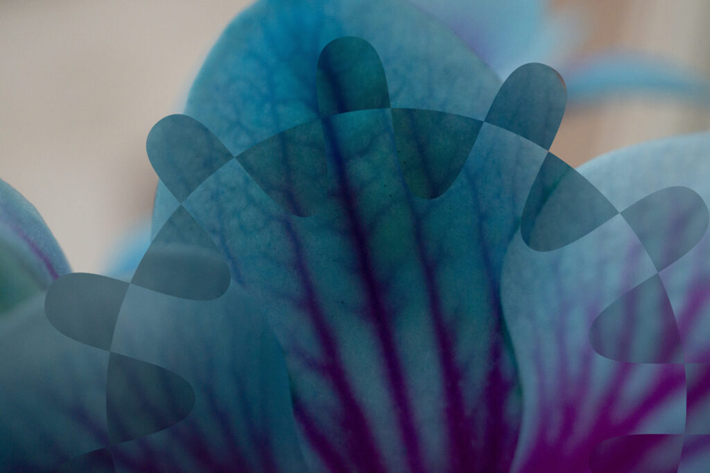 Flower Signs Battery Flexibility Agreement with Global Energy Group