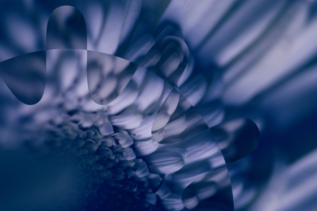 Flower Publishes First Quarter Report 2026