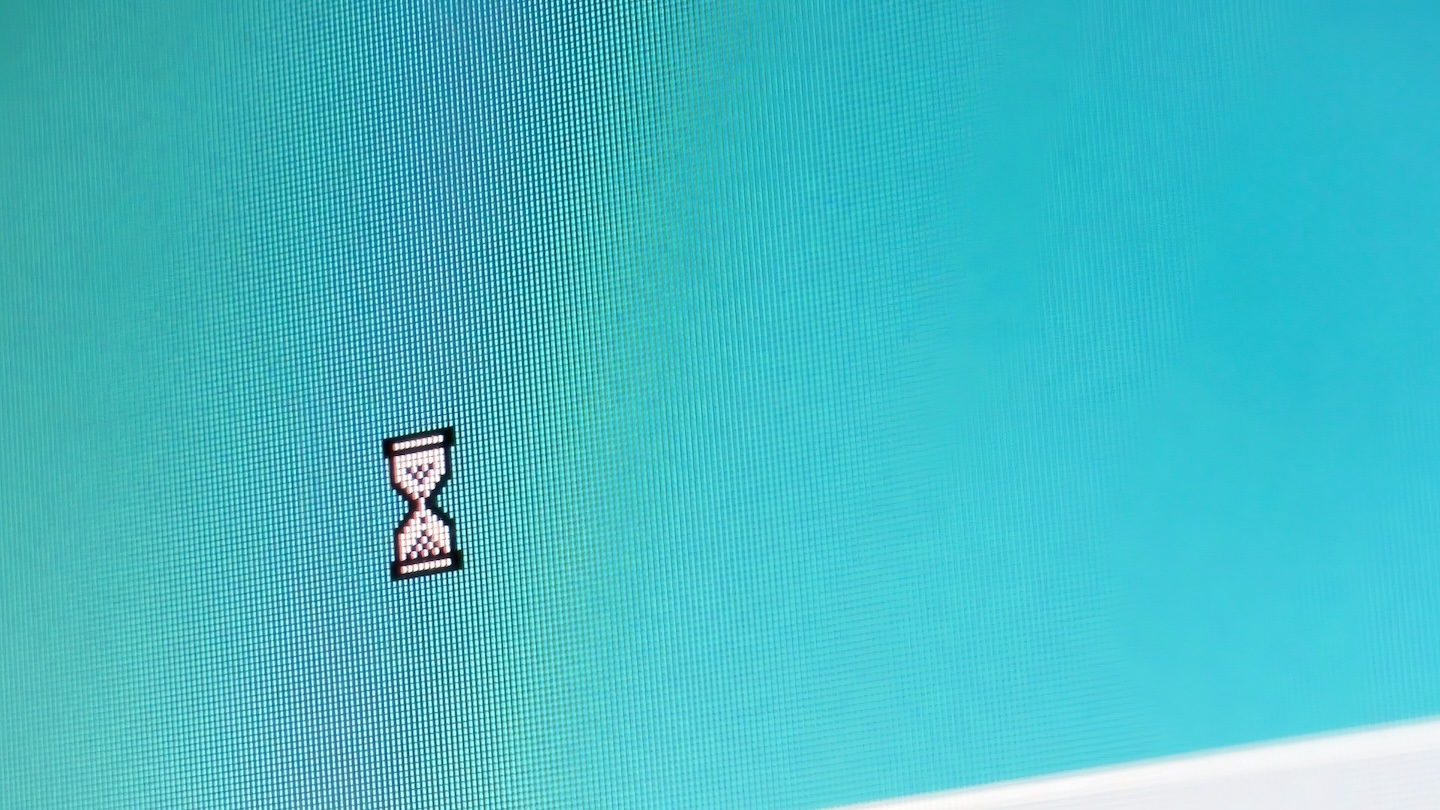 Dot Com Boom, flexibility, Flower