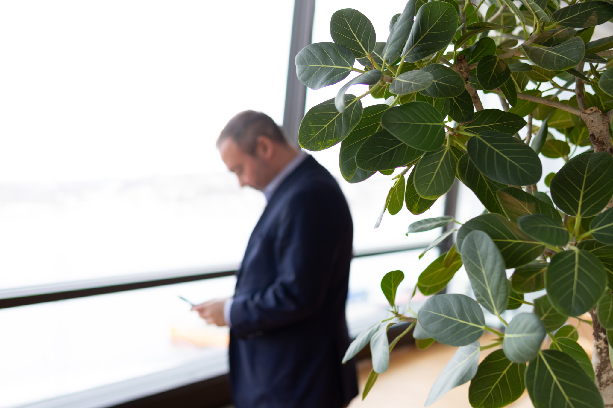 Stephen Stakhiv, Investment manager, Flower